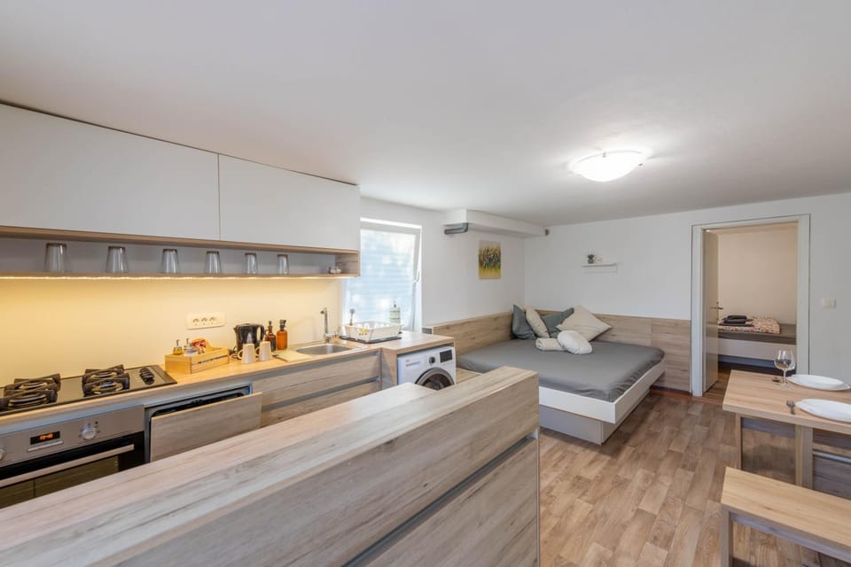 Poli Apartment in Slovenia