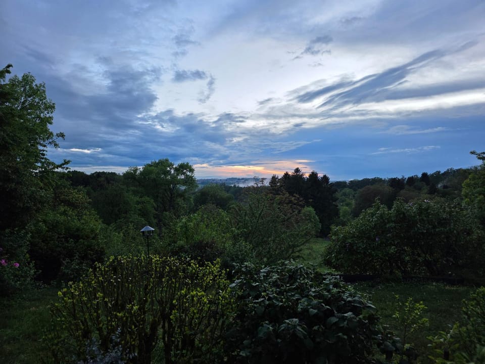 Natural landscape, Garden view