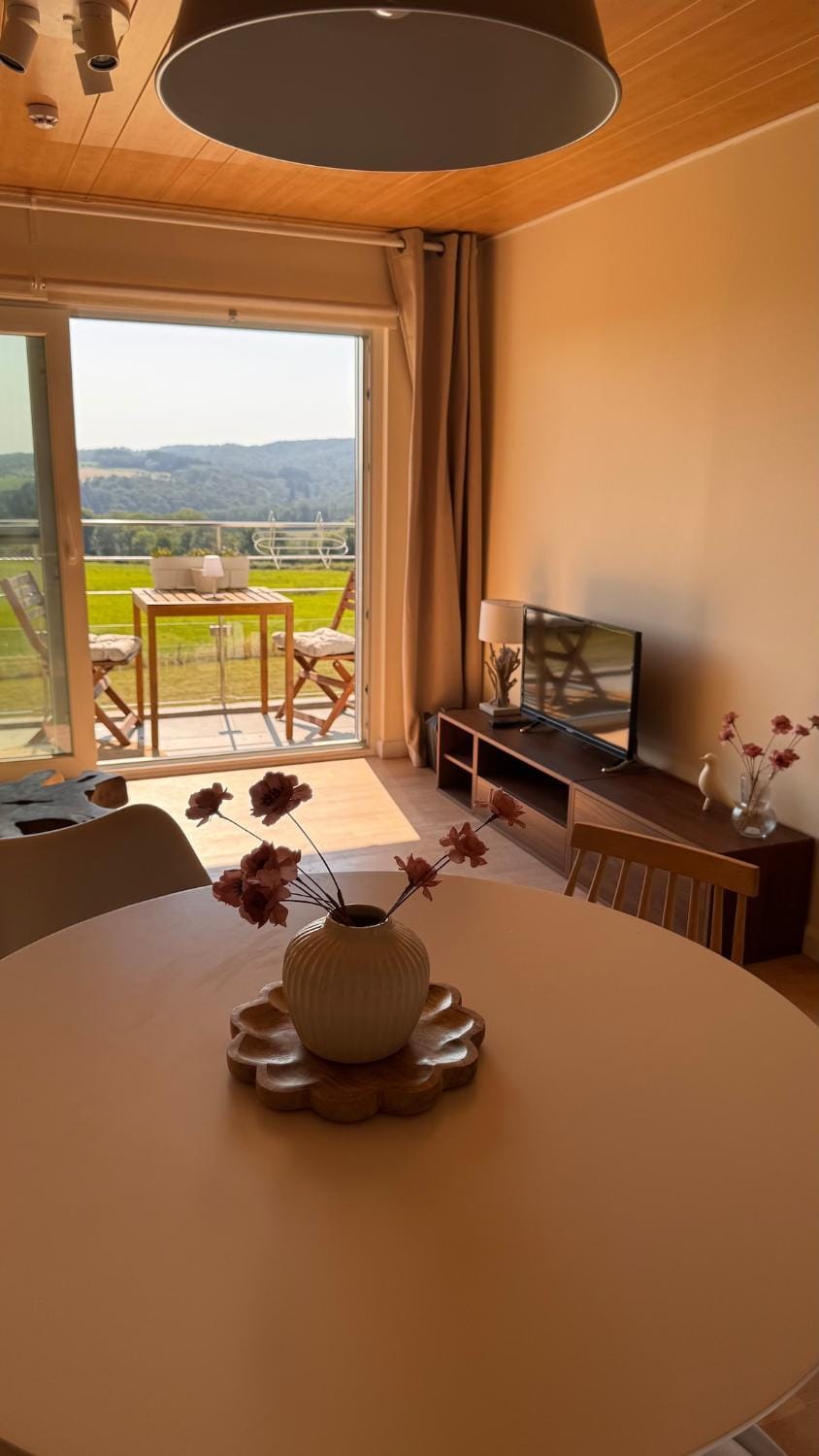 View (from property/room), Balcony/Terrace, Living room, Sunset