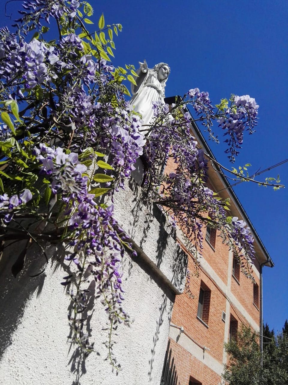 Oasi della Divina Volontà Hostel in San Giovanni Rotondo