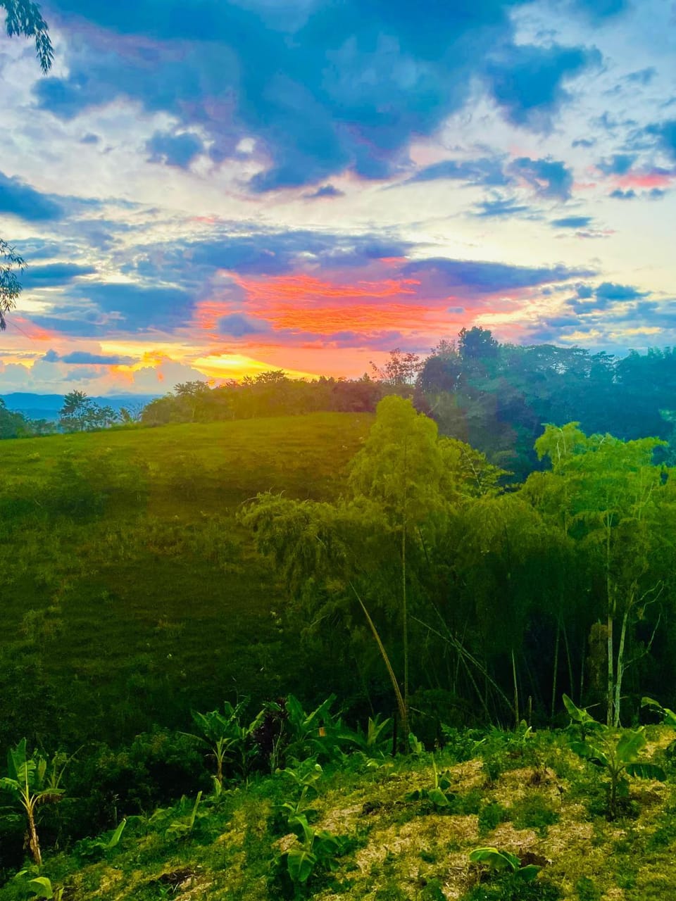 Finca el Suleiman Country House in Quindio, Colombia