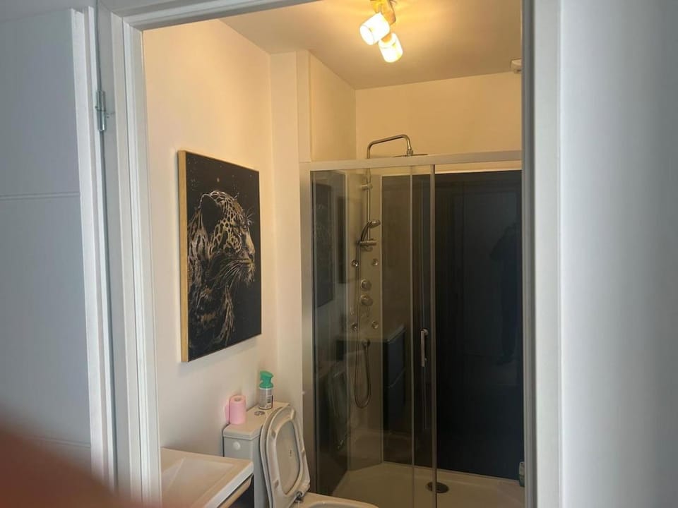 Serene Modern Home Free Parking Near Toulouse Apartment in Occitanie