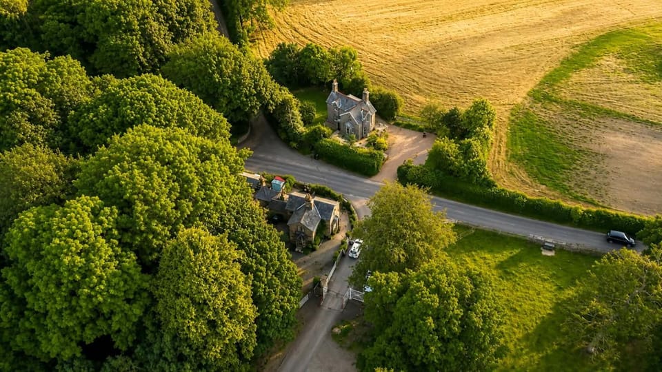 Neighbourhood, Natural landscape, Bird's eye view