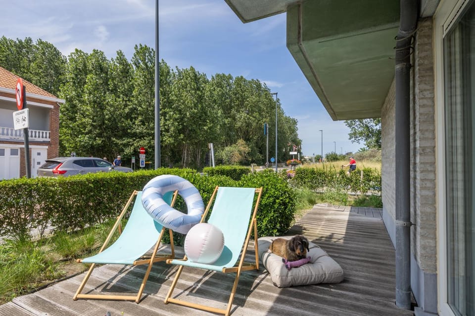 Patio, Garden, sunbed