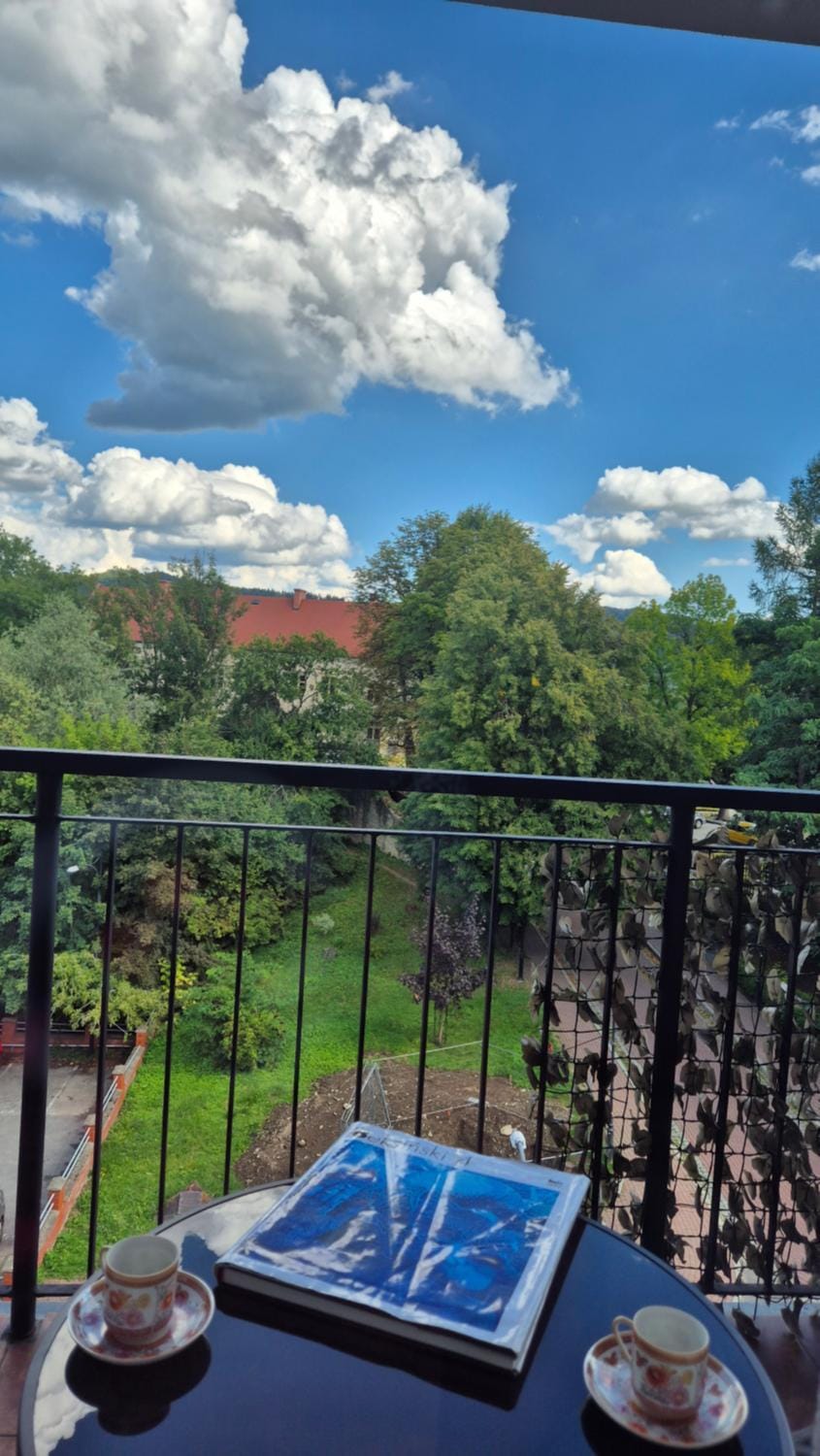 View (from property/room), Balcony/Terrace