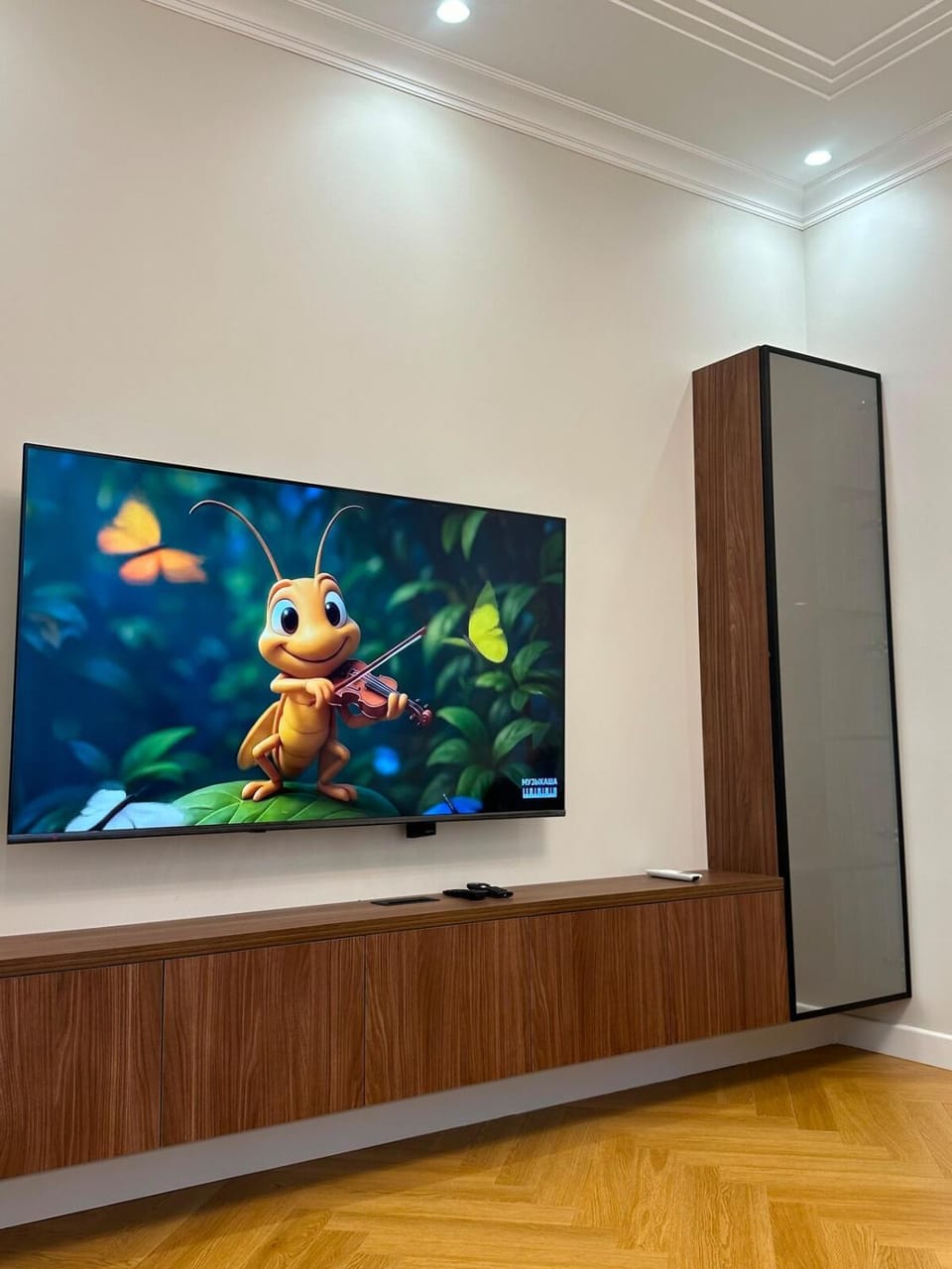 TV and multimedia