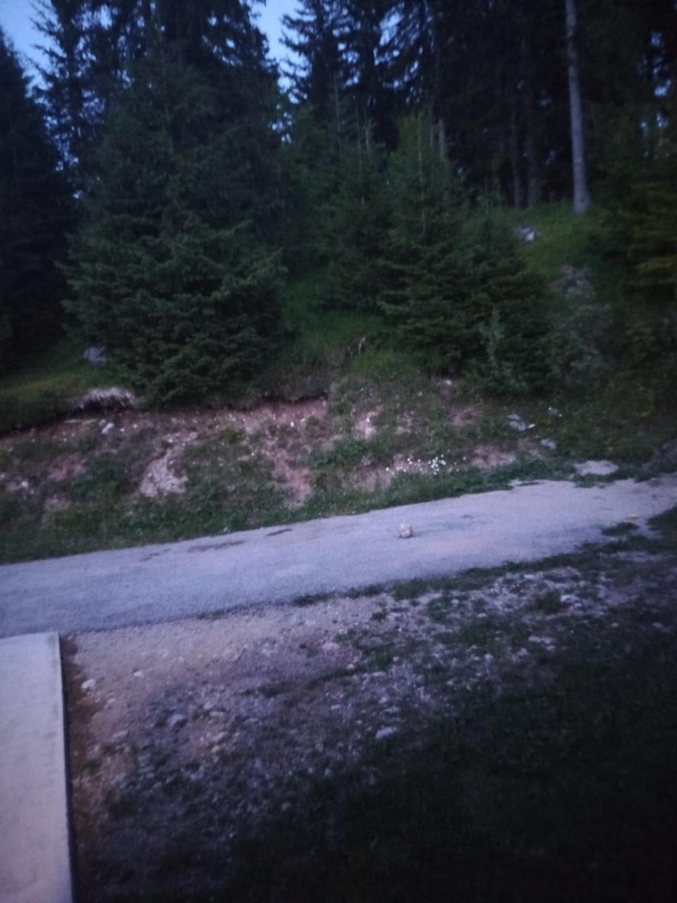 Apartman Jana Apartment in Montenegro