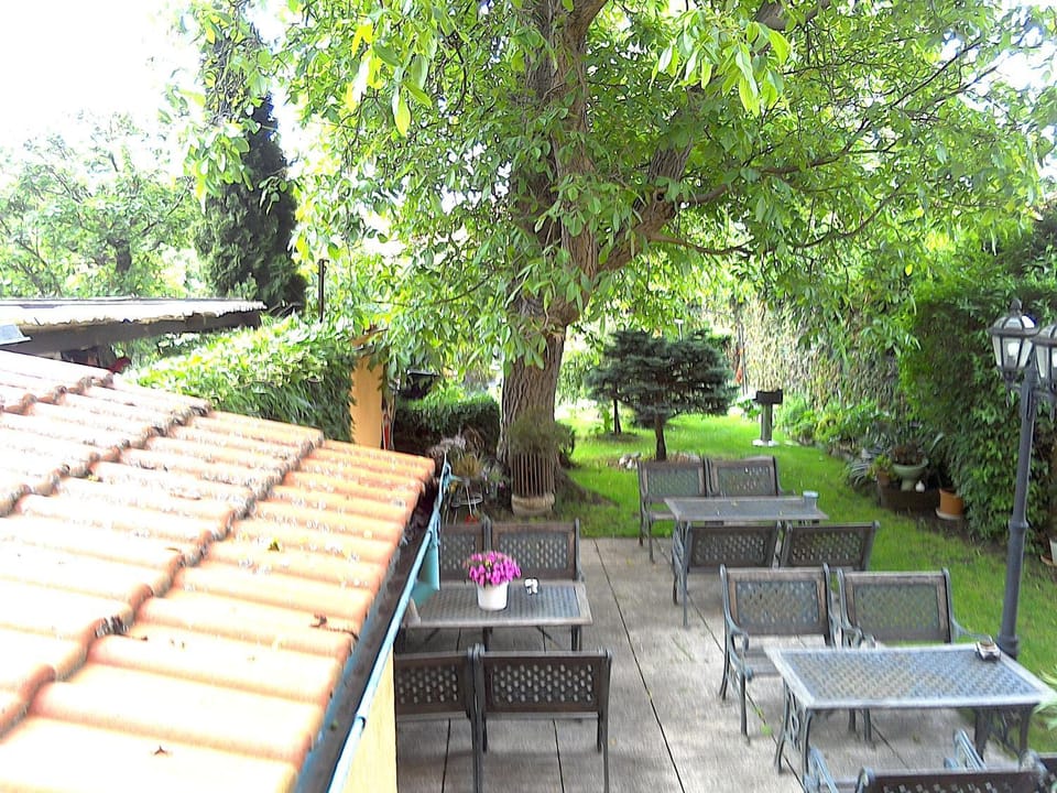 Patio, Spring, Day, Garden, Garden view, Breakfast