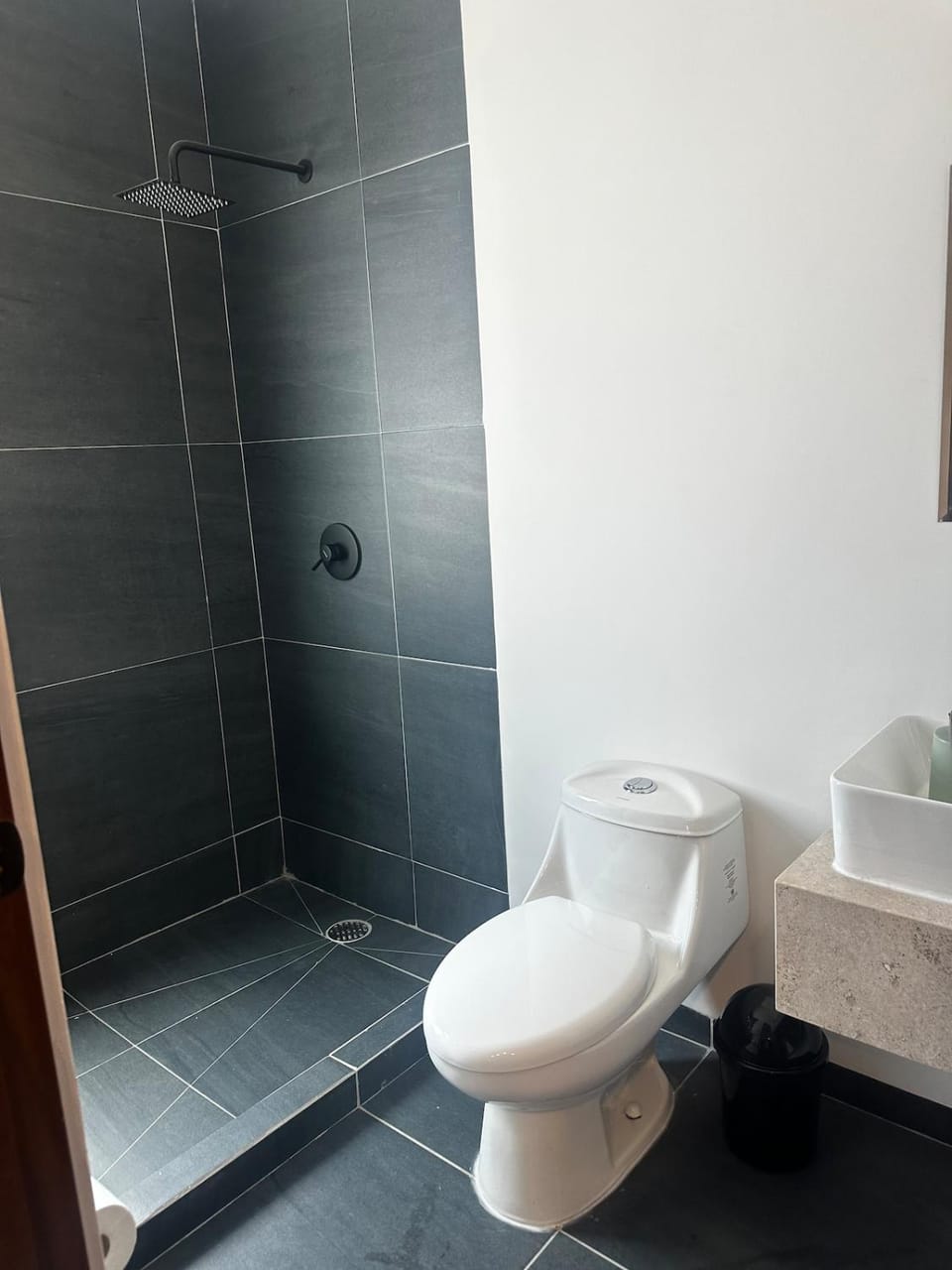 Departamento Carranza en Tequisquiapan Apartment in San Luis Potosi