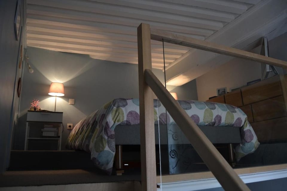 Canut au coeur de la Croix-Rousse Apartment in Lyon