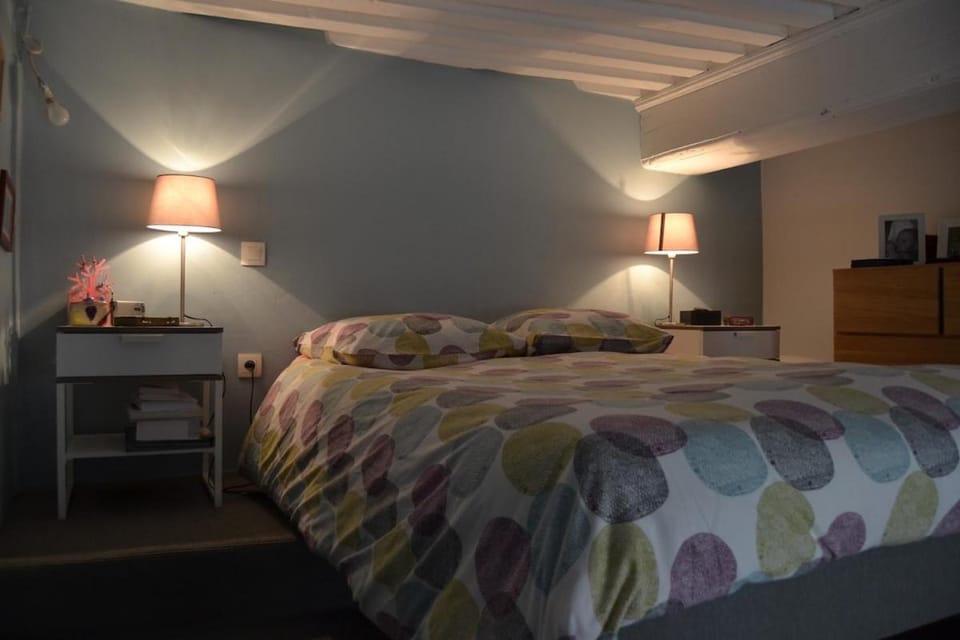 Canut au coeur de la Croix-Rousse Apartment in Lyon