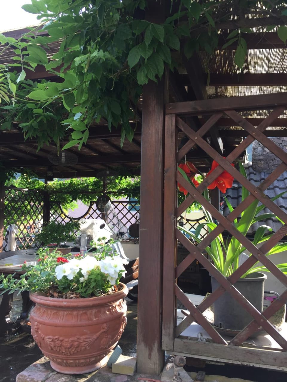 Il Ghiro B&B Bed and Breakfast in Province of Massa and Carrara