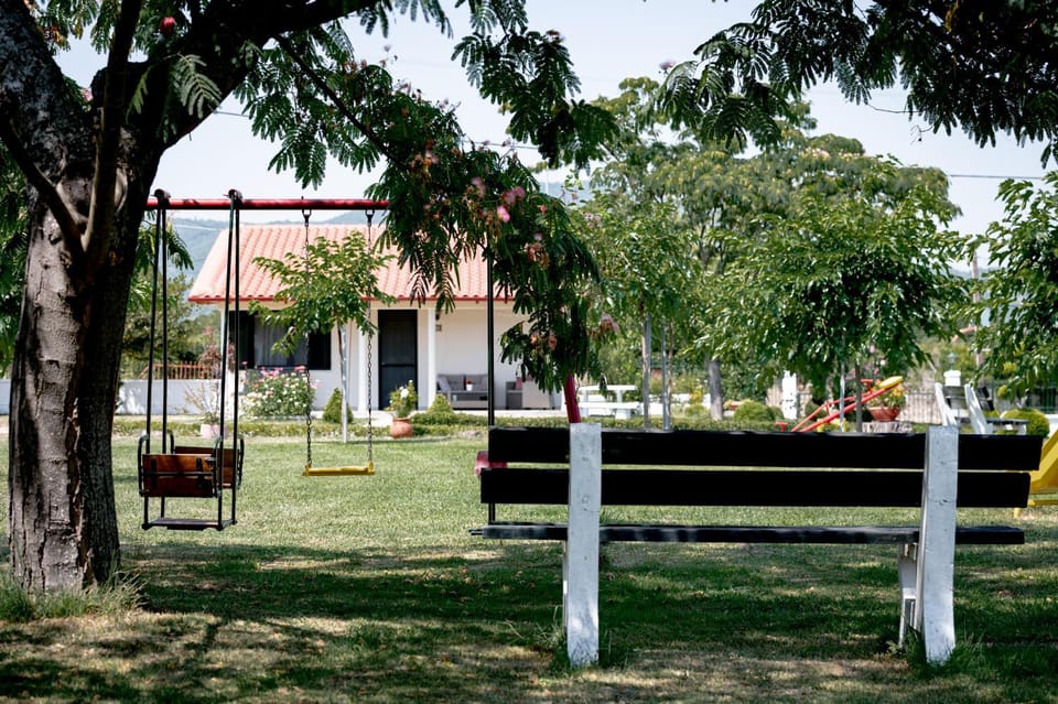 Children play ground, Garden, Garden view