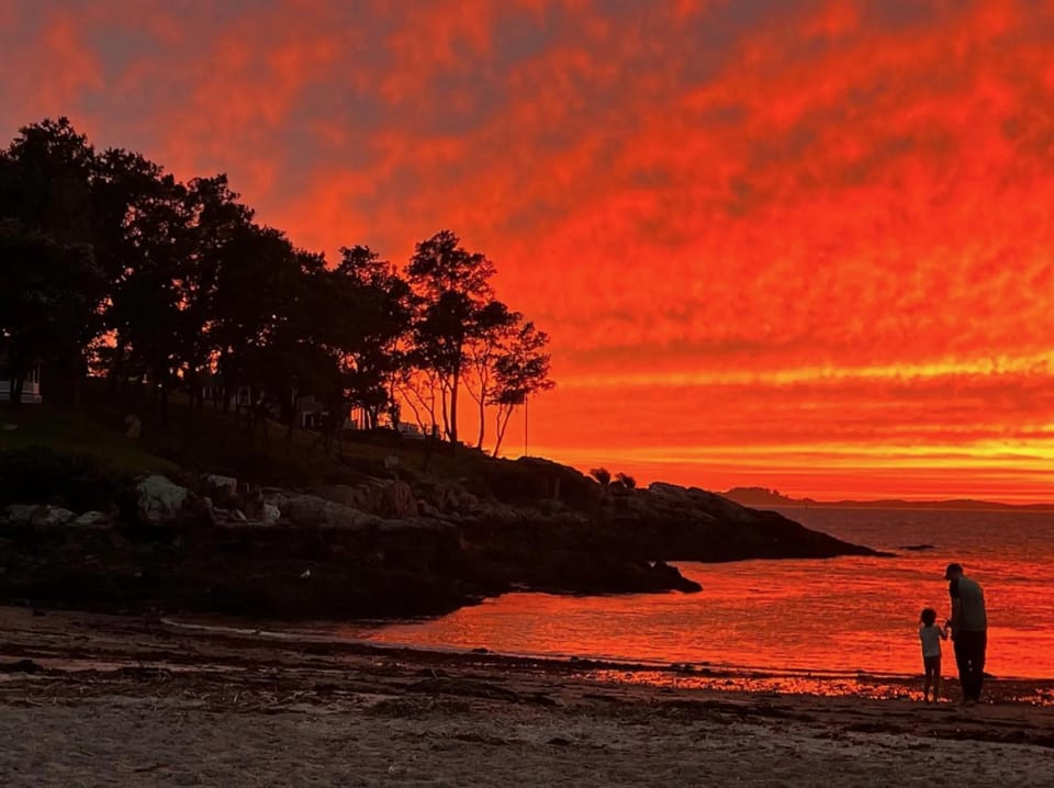 Natural landscape, Beach, Sunset