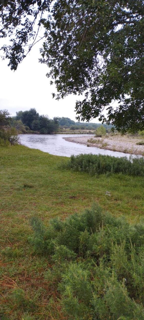 Natural landscape, River view
