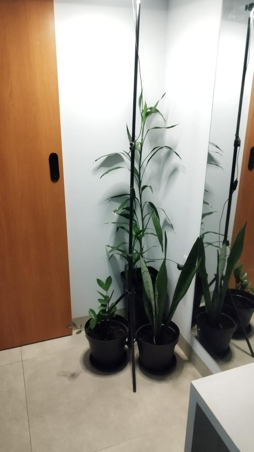 Kitnet Studio Privativo Prox UFNT e IFTO Apartment in State of Tocantins