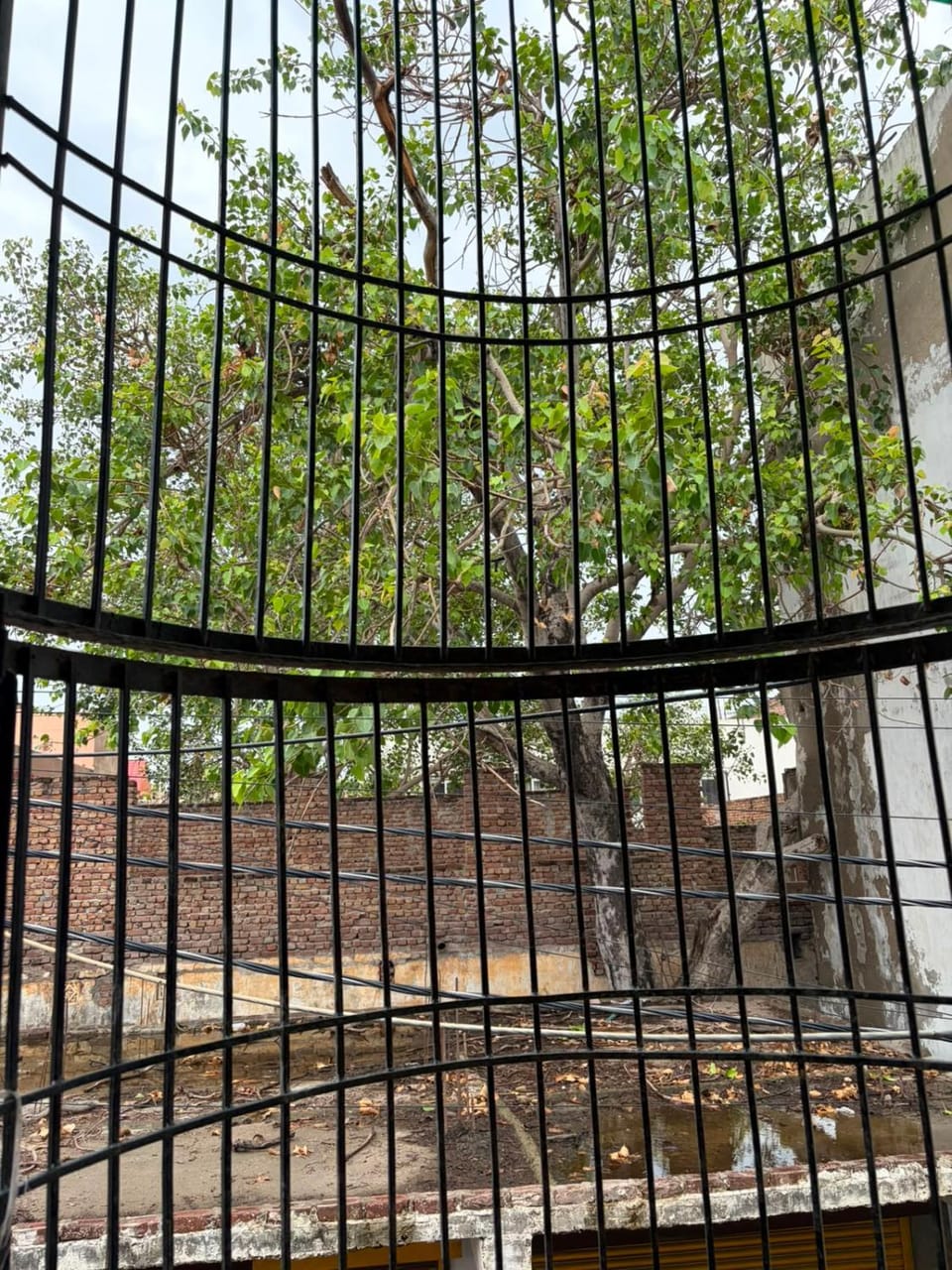 Radha Madhav Homestay Near Bake Bihari Mandir Vacation rental in Uttar Pradesh