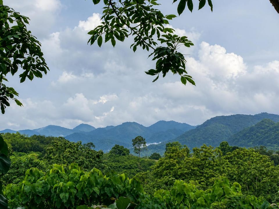 Mountain view