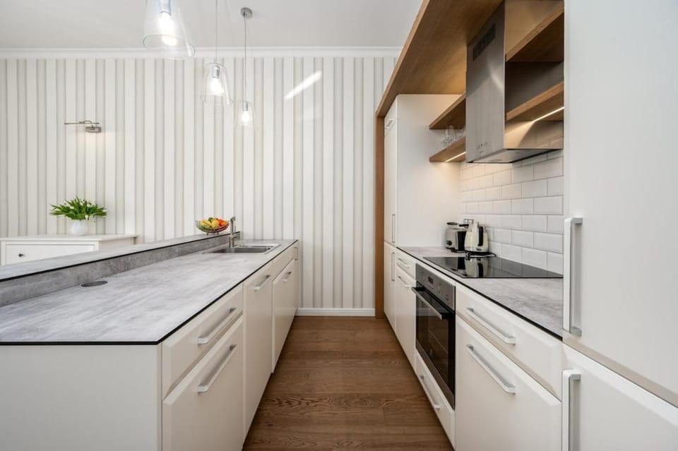 Old town Riverside luxury apartment Apartment in Prague