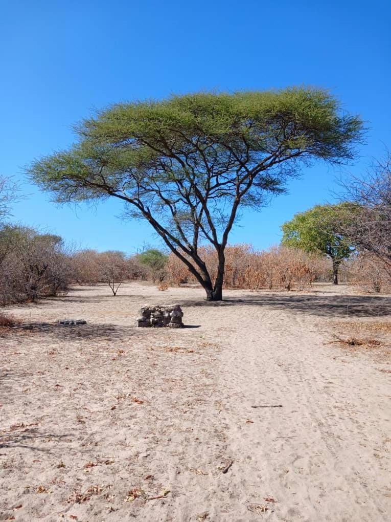Natural landscape