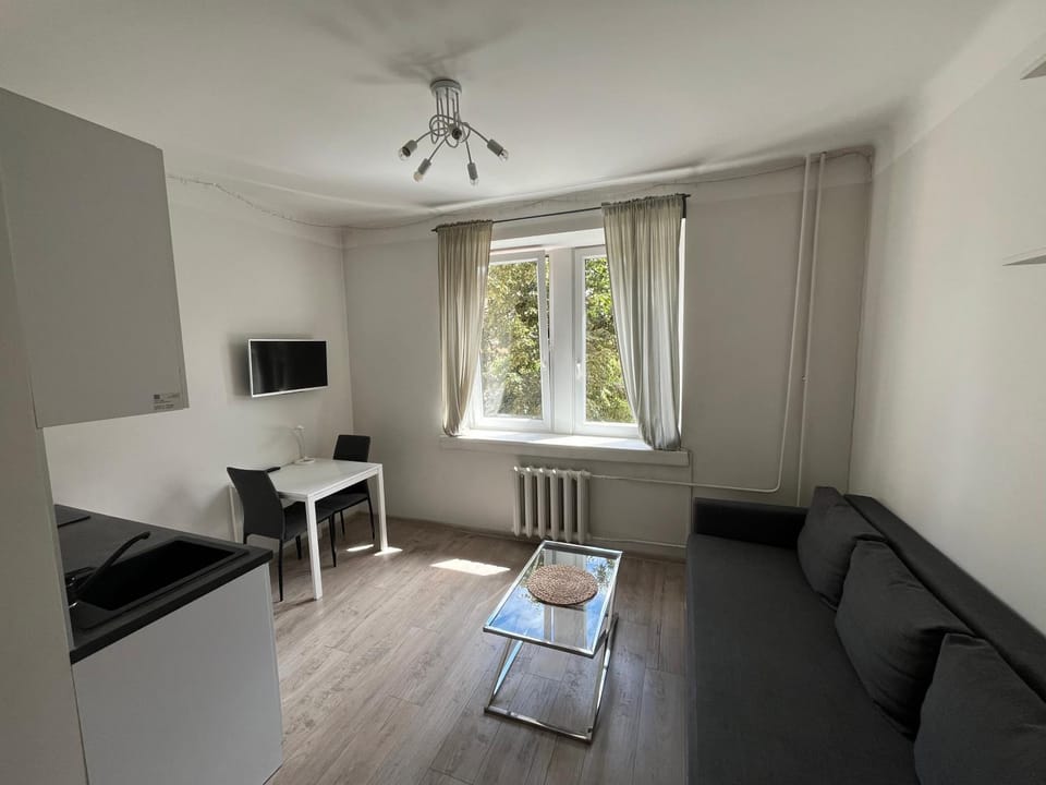 VILNIUS central apartmen Apartment in Vilnius