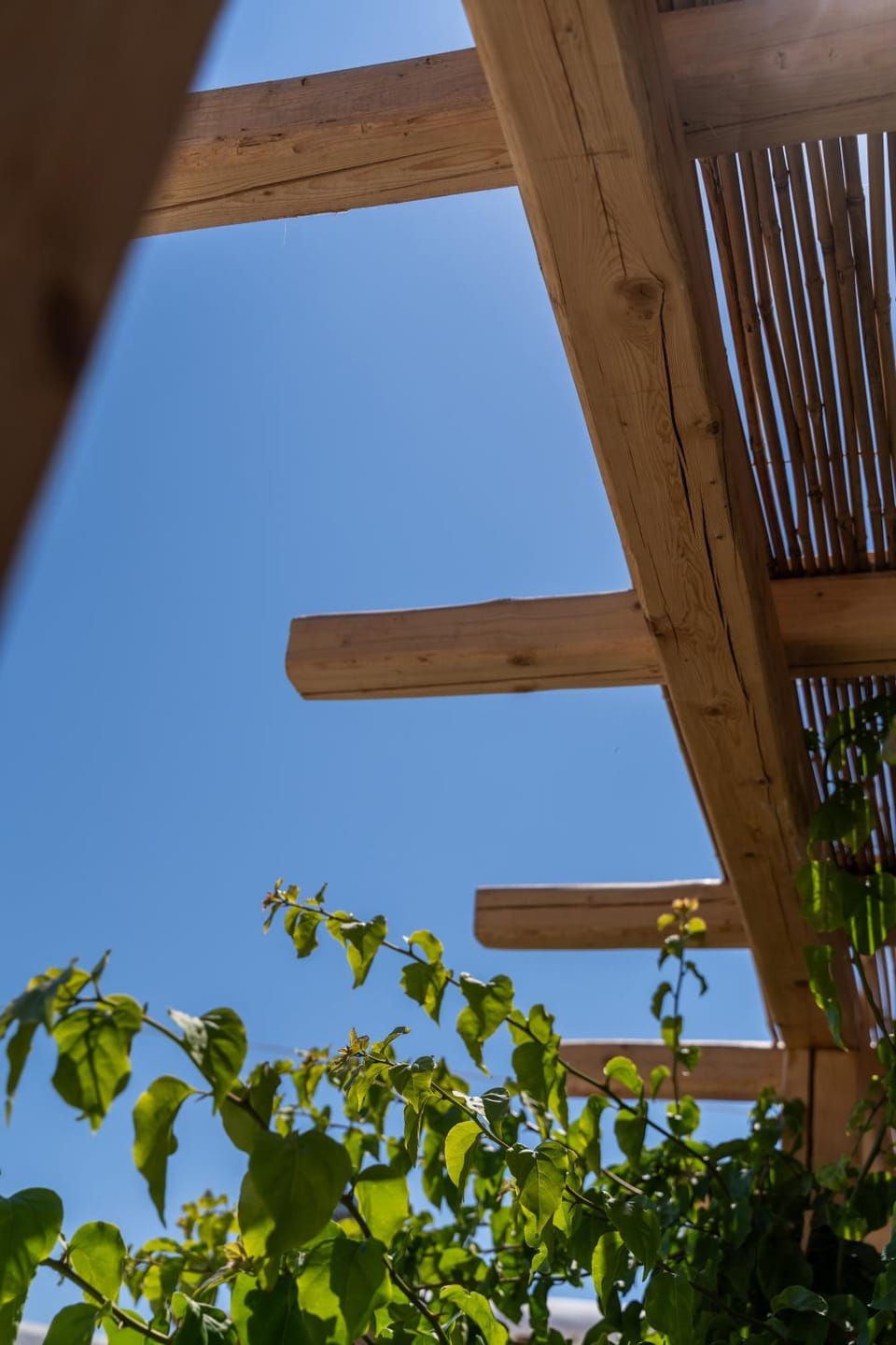 Ornos Collection - by Hospirit Hotel in Decentralized Administration of the Aegean