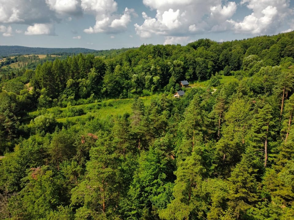 Sosnowa Chata Osada PTOSEK Bieszczady House in Poland
