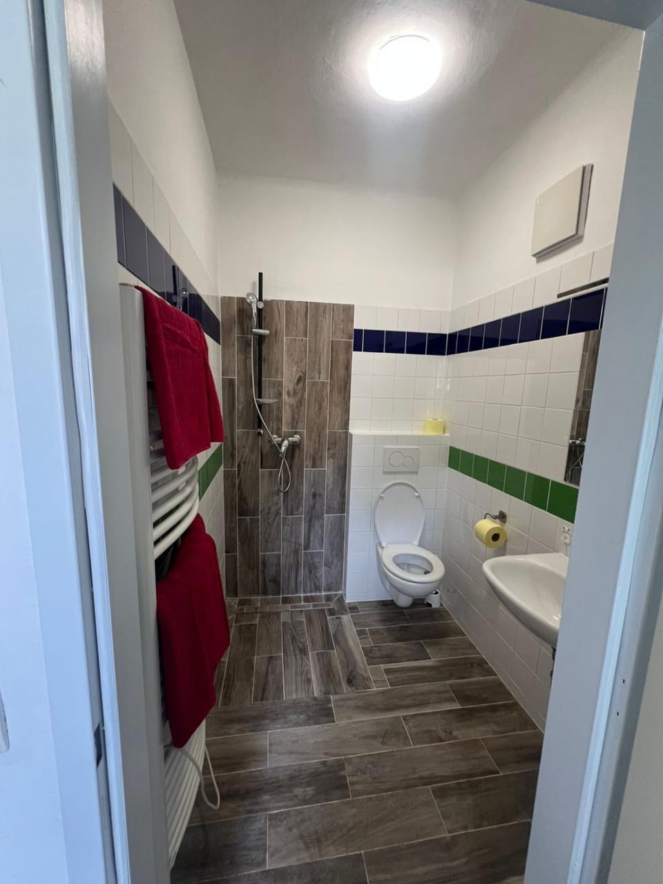Shower, Toilet