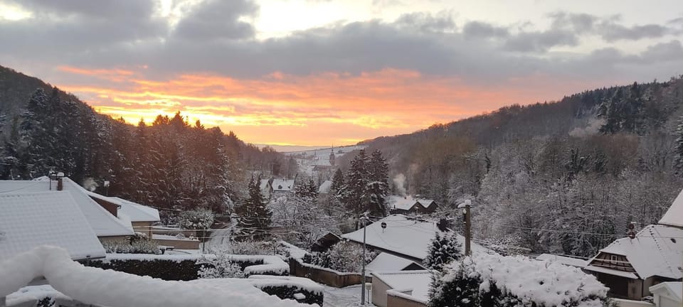 Natural landscape, Winter, Sunrise