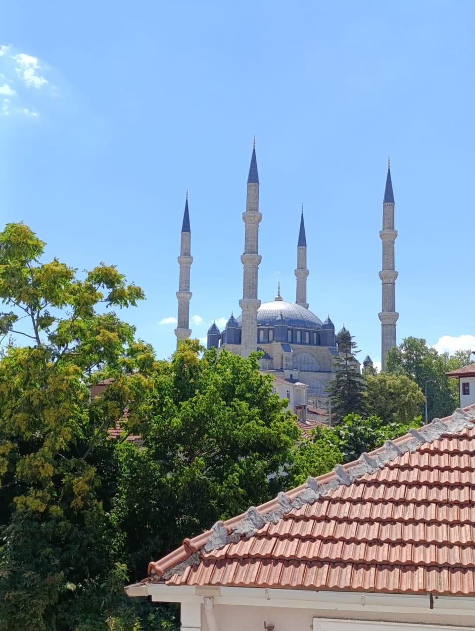 View (from property/room)
