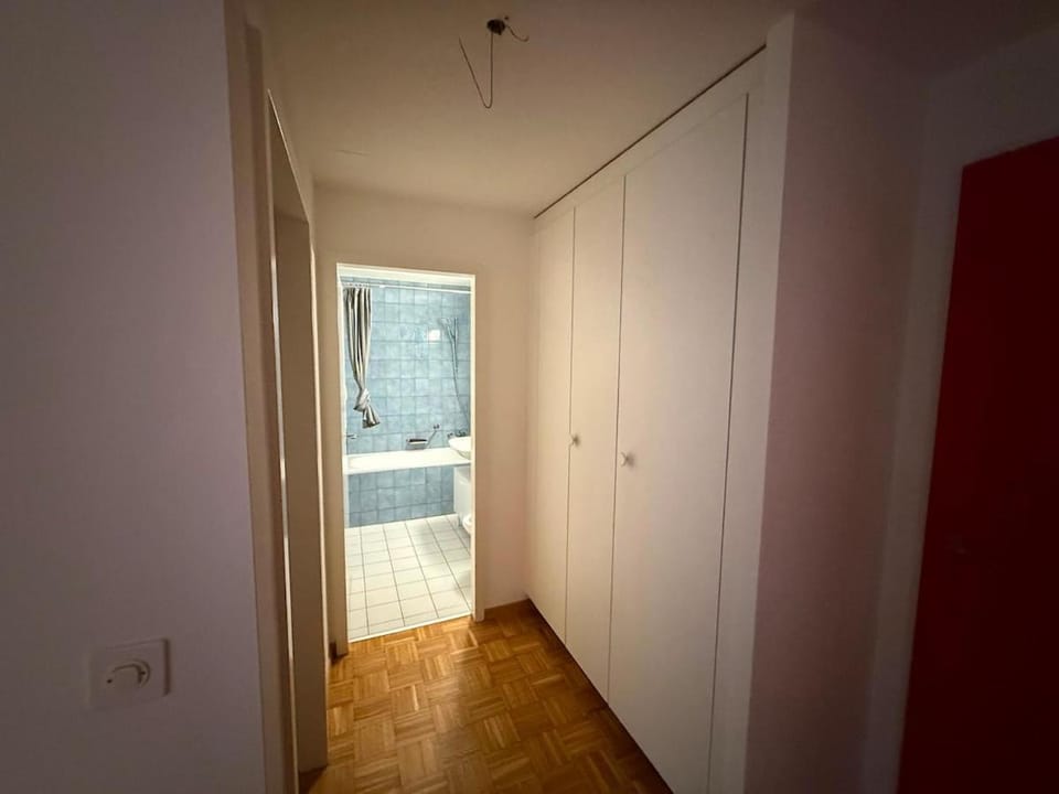 Bright Apartment in the City Center Apartment in Lausanne