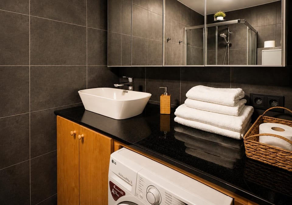 City Center apartment in Jelgava Apartment in Latvia