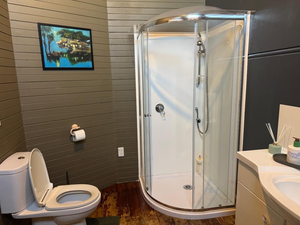Shower, Toilet, Bathroom, towels