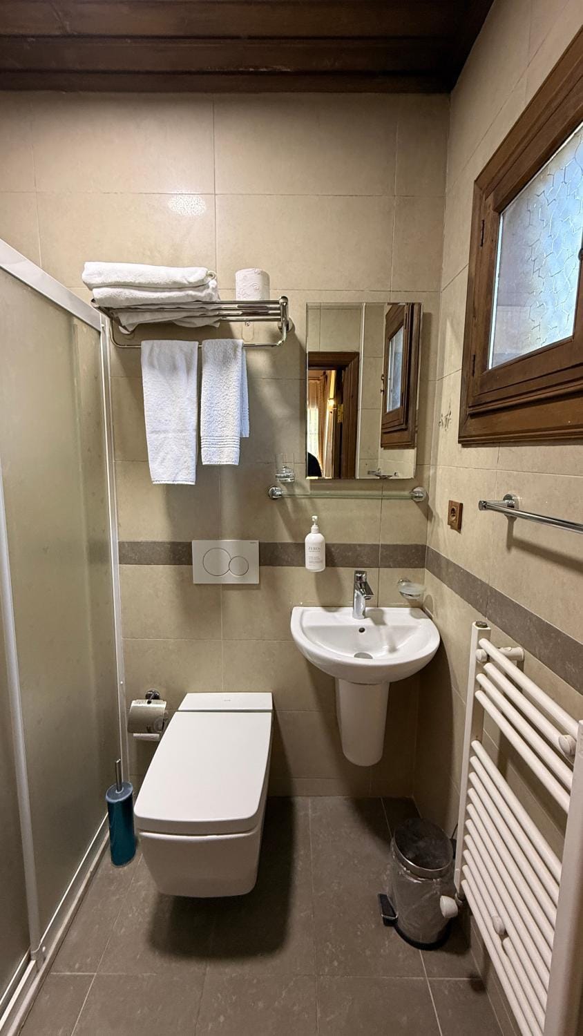 Shower, Toilet, Bathroom, towels