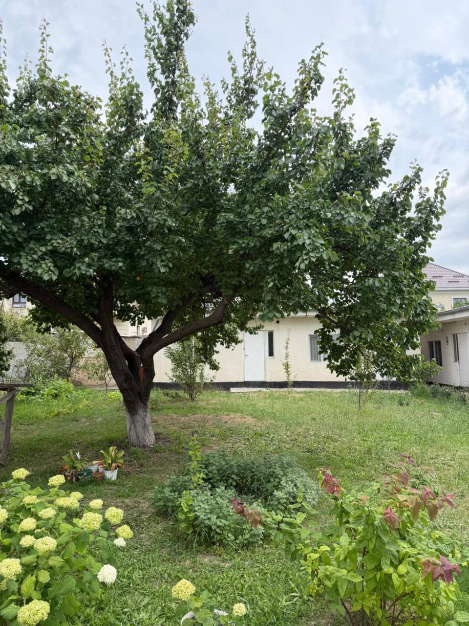 Chika Guesthouse Bed and Breakfast in Almaty Region, Kazakhstan