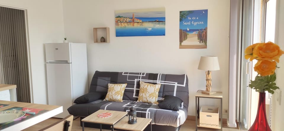Cosy T2 à 100m de la plage Apartment in Saint-Cyprien