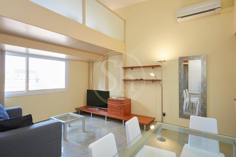 Paseo de Gracia Apartment Apartment in Barcelona
