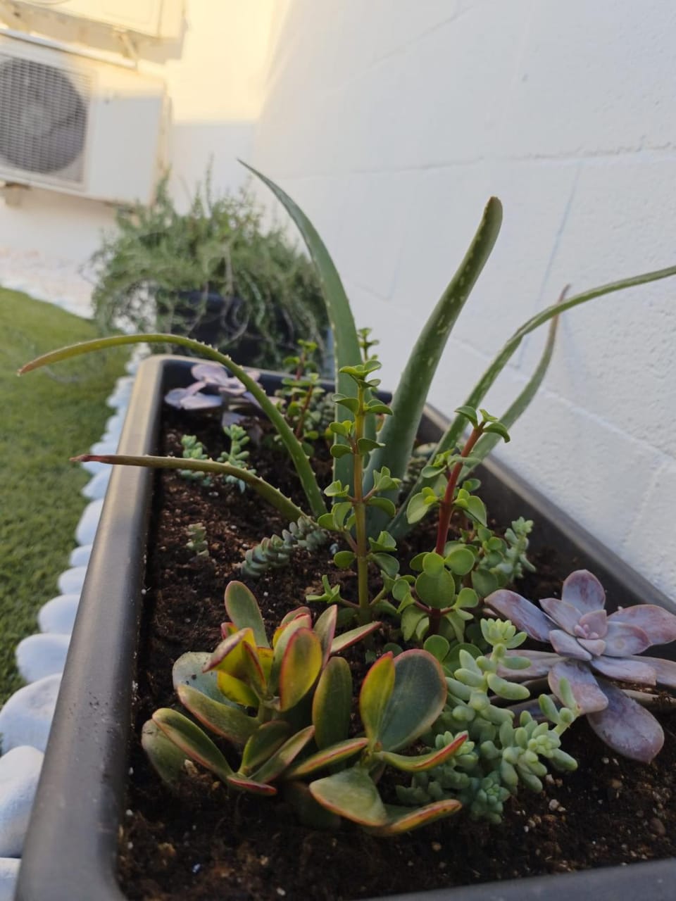 Spring, Day, Garden