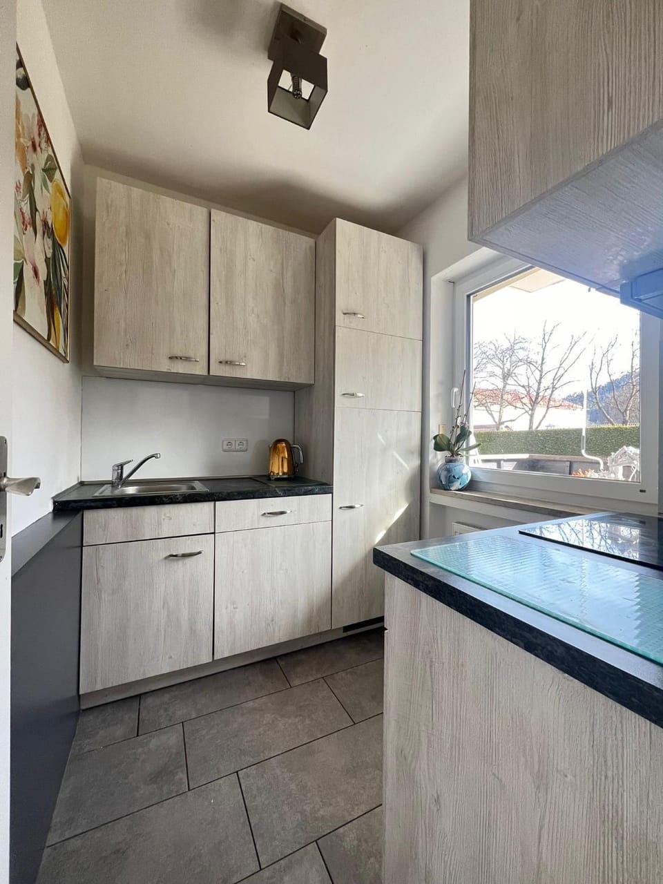 Kitchen or kitchenette, dishwasher
