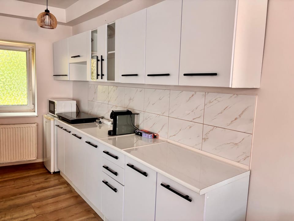 Kitchen or kitchenette, kitchen