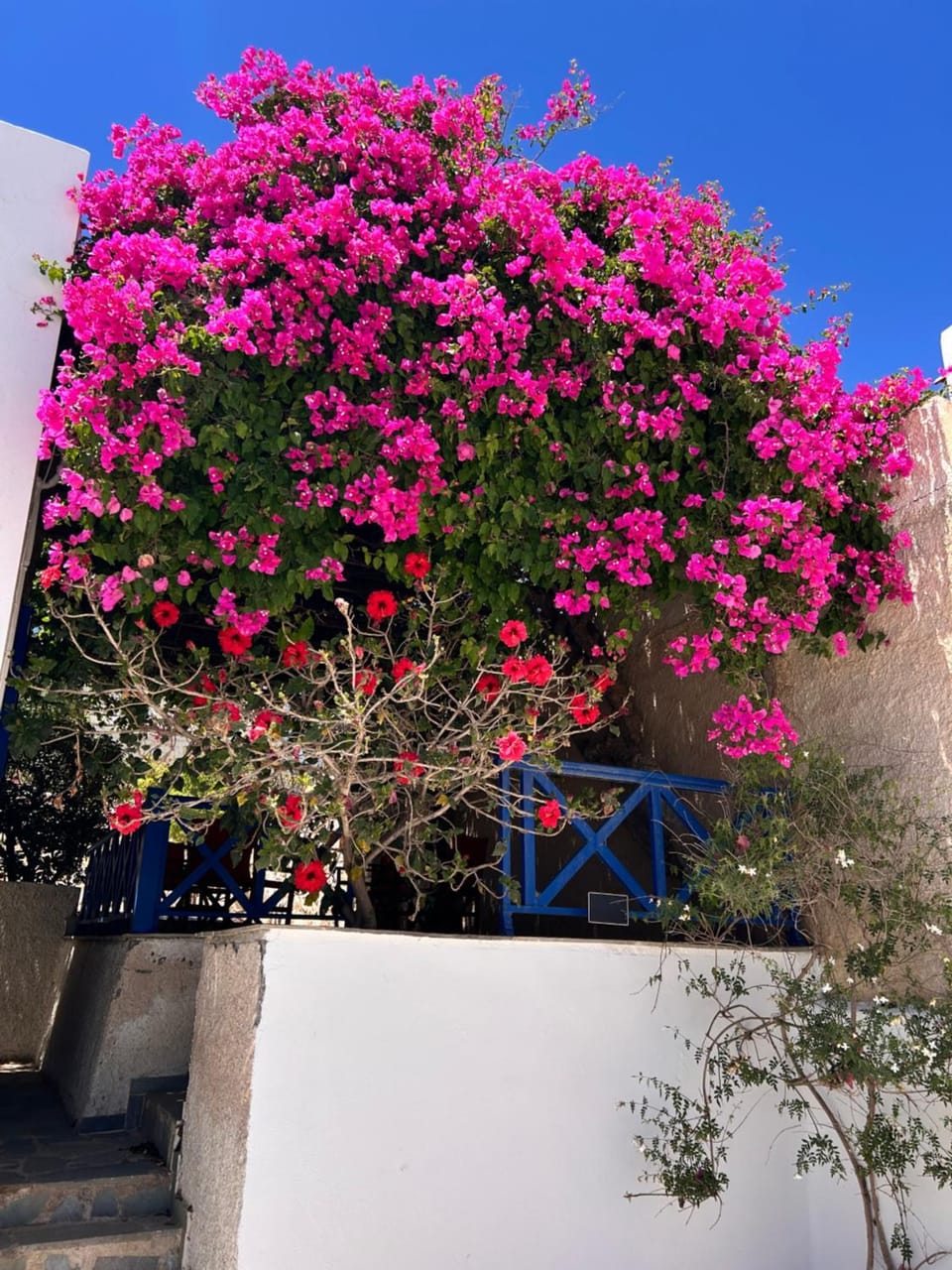 Θalami me Θea House in Decentralized Administration of the Aegean