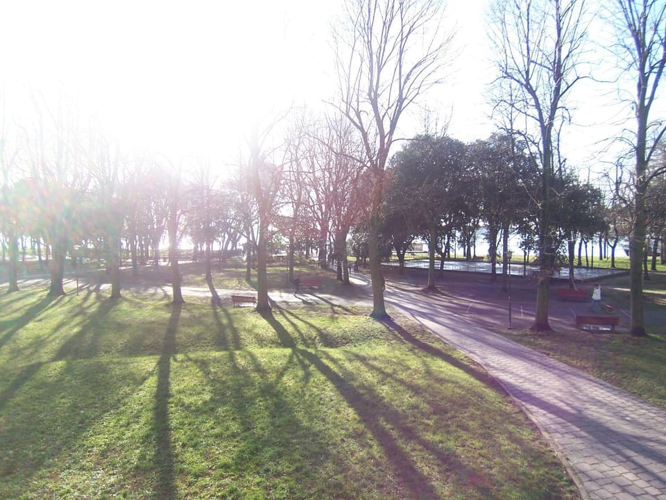 Neighbourhood