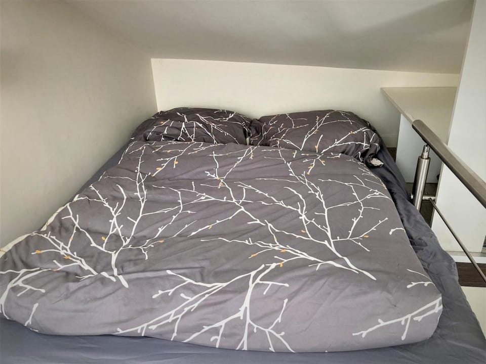 studio dans l'hypercentre de Limoges Apartment in Limoges
