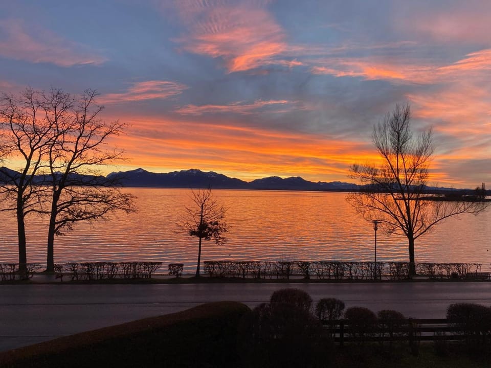 Lake view
