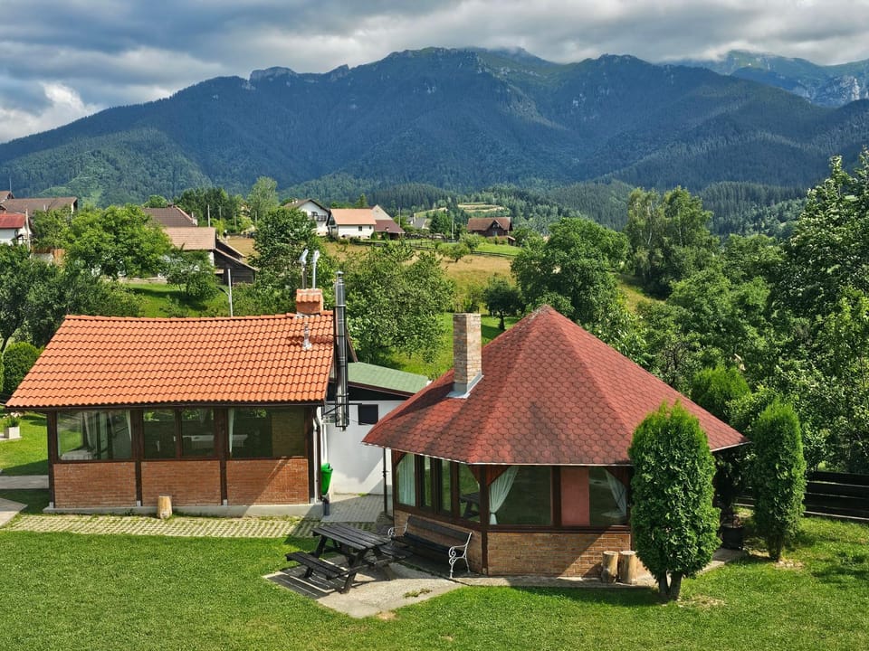 Casa Bradul Inalt Bed and Breakfast in Bran
