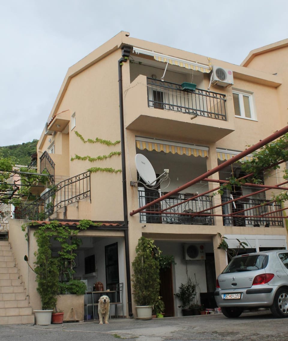 Property building, Day