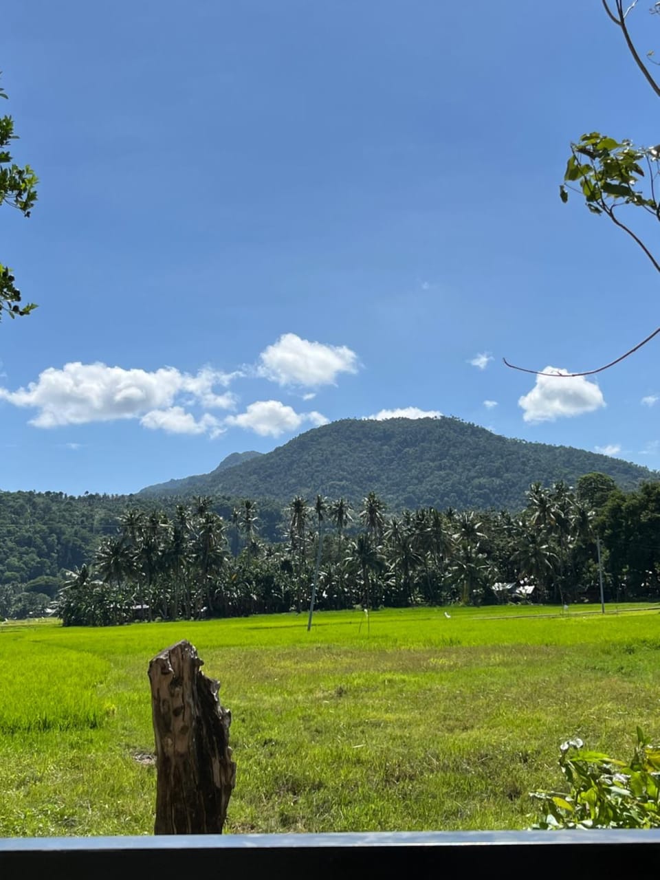 Mystical Hidden Farmhouse Farm Stay in Northern Mindanao