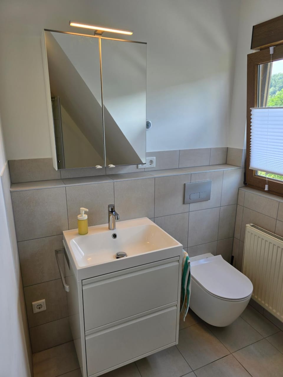 Toilet, Bathroom