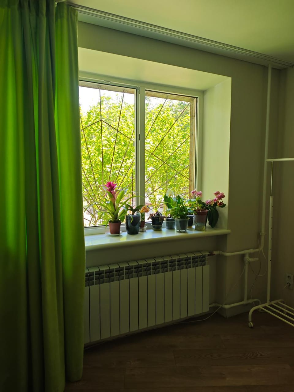 Garden, Garden view, internet