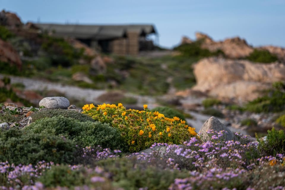 Natural landscape